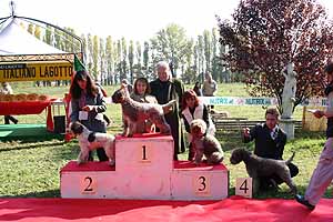 r.talien.uts24.jpg